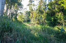 Terreno / Lote / Condomínio à venda, 6742m² no Pedro do Rio, Petrópolis - Foto 4