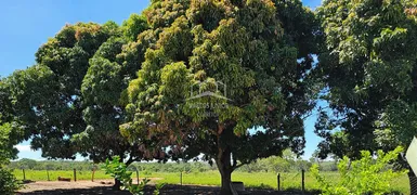 Fazenda / Sítio / Chácara com 3 Quartos à venda, 5200000m² no Zona Rural, Buritizeiro - Foto 33