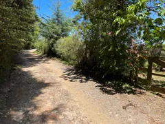 Fazenda / Sítio / Chácara à venda, 17832m² no Centro, Campos do Jordão - Foto 11