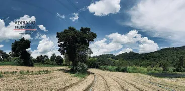 Fazenda / Sítio / Chácara com 3 Quartos à venda, 144000m² no Area Rural de Amparo, Amparo - Foto 16