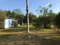 Fazenda / Sítio / Chácara com 2 Quartos à venda, 100m² no São Braz, Torres - Foto 8