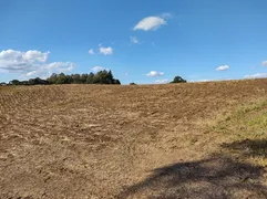 Terreno / Lote / Condomínio à venda, 151800m² no Forqueta, Caxias do Sul - Foto 10