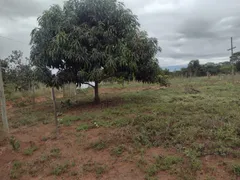 Fazenda / Sítio / Chácara com 3 Quartos à venda, 20000m² no Area Rural do Paranoa, Brasília - Foto 17