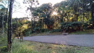 Terreno / Lote / Condomínio à venda, 663m² no Pinheiro Grosso, Canela - Foto 4