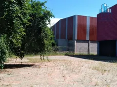 Galpão / Depósito / Armazém para alugar, 4500m² no Distrito Industrial Benedito Storani, Vinhedo - Foto 15