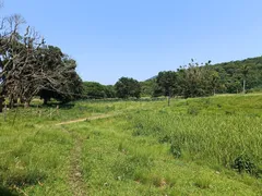 Fazenda / Sítio / Chácara à venda, 75000m² no Ilha de Guaratiba, Rio de Janeiro - Foto 19