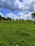 Fazenda / Sítio / Chácara com 3 Quartos à venda, 5000m² no Zona Rural, Monte Alegre - Foto 23