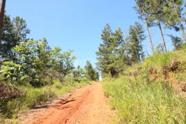 Terreno / Lote / Condomínio à venda, 170700m² no Campestre, São Leopoldo - Foto 12