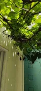 Casa de Condomínio com 4 Quartos à venda, 450m² no Jardim Aquarius, São José dos Campos - Foto 4