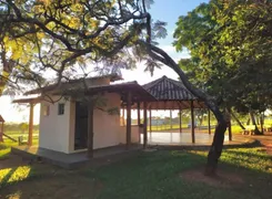 Fazenda / Sítio / Chácara com 3 Quartos à venda, 2400m² no Setor Central , Bela Vista de Goiás - Foto 19