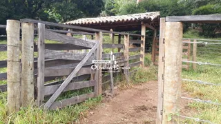 Fazenda / Sítio / Chácara com 2 Quartos à venda, 100m² no Centro, Pirenópolis - Foto 31