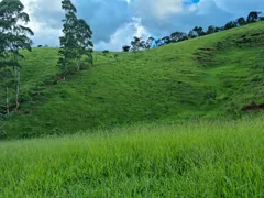 Fazenda / Sítio / Chácara com 5 Quartos à venda, 169400m² no São Francisco Xavier, São José dos Campos - Foto 12