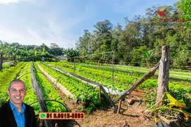 Fazenda / Sítio / Chácara com 2 Quartos à venda, 120m² no Campo da Brazina, Araricá - Foto 26