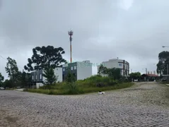 Terreno / Lote / Condomínio à venda no Bela Vista, Caxias do Sul - Foto 1