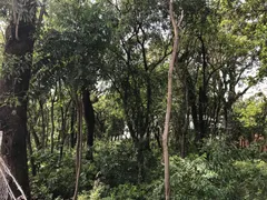 Terreno / Lote Comercial à venda no Jardim Aeroporto, Caxias do Sul - Foto 1