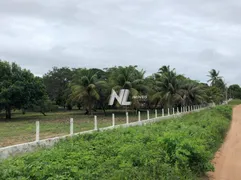 Terreno / Lote / Condomínio à venda, 18000m² no Zona Rural, São José de Mipibu - Foto 4