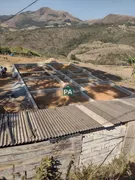 Fazenda / Sítio / Chácara com 3 Quartos à venda, 150m² no Morada Dos Pássaros, Poços de Caldas - Foto 3