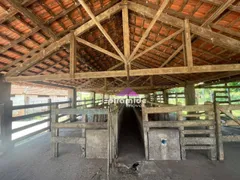 Fazenda / Sítio / Chácara com 3 Quartos à venda, 60m² no Zona Rural, Lavrinhas - Foto 7