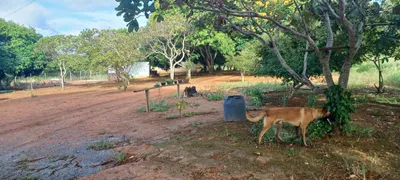 Fazenda / Sítio / Chácara com 2 Quartos à venda, 420000m² no Paranoá, Brasília - Foto 33