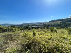 Terreno / Lote / Condomínio à venda, 20000m² no Faria Lemos, Bento Gonçalves - Foto 11