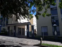 Apartamento com 1 Quarto à venda, 32m² no Vila Ipiranga, Porto Alegre - Foto 3