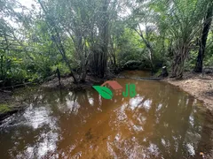 Fazenda / Sítio / Chácara à venda, 4000m² no Povoado, Pedras de Fogo - Foto 5