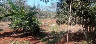 Fazenda / Sítio / Chácara à venda, 4m² no Sibipiruna, Araguari - Foto 12