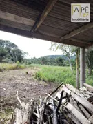 Fazenda / Sítio / Chácara com 3 Quartos à venda, 60500m² no Iguape, Iguape - Foto 24