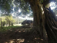 Fazenda / Sítio / Chácara com 2 Quartos à venda, 140m² no Lopes, Valinhos - Foto 115