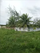 Fazenda / Sítio / Chácara à venda, 20000m² no Novo Amarante, São Gonçalo do Amarante - Foto 4