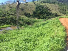 Fazenda / Sítio / Chácara com 2 Quartos à venda, 113m² no Area Rural de Colatina, Colatina - Foto 6