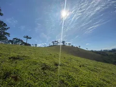 Terreno / Lote / Condomínio à venda, 20000m² no Zona Rural, Santo Antônio do Pinhal - Foto 9