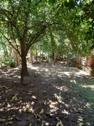 Fazenda / Sítio / Chácara com 3 Quartos à venda, 2000m² no Bananal, Campinas - Foto 14