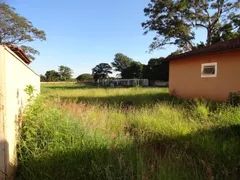 Fazenda / Sítio / Chácara com 3 Quartos à venda, 5000m² no Recreio Internacional, Ribeirão Preto - Foto 19