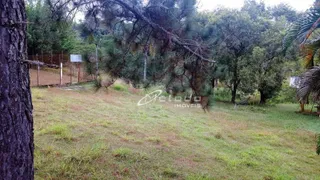 Terreno / Lote / Condomínio à venda, 6600m² no Parque Agrinco , Guararema - Foto 5