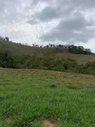 Fazenda / Sítio / Chácara com 1 Quarto à venda, 740000m² no Dores do Paraibuna, Santos Dumont - Foto 9