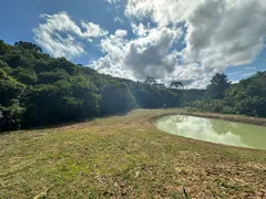 Fazenda / Sítio / Chácara à venda, 20000m² no Saltinho, Campo Alegre - Foto 16