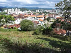 Terreno / Lote / Condomínio à venda, 494m² no Steffen, Brusque - Foto 2