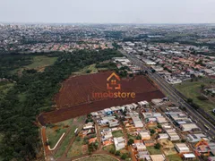 Terreno / Lote Comercial à venda, 160597m² no Industrias Leves, Londrina - Foto 3