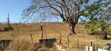 Fazenda / Sítio / Chácara com 4 Quartos à venda no Zona Rural, Cristianópolis - Foto 5