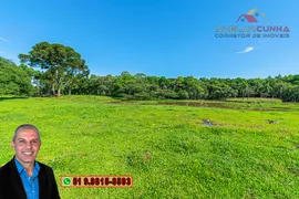 Fazenda / Sítio / Chácara com 4 Quartos à venda, 100m² no Zona Rural, Três Coroas - Foto 9