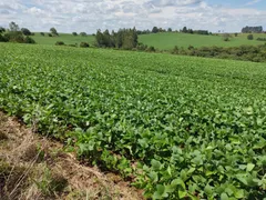 Fazenda / Sítio / Chácara com 3 Quartos à venda, 87m² no Area Rural de Capao Bonito, Capão Bonito - Foto 6