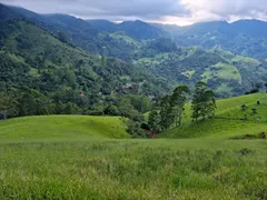 Fazenda / Sítio / Chácara com 5 Quartos à venda, 169400m² no São Francisco Xavier, São José dos Campos - Foto 30