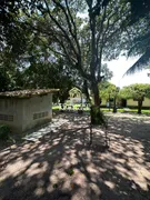 Fazenda / Sítio / Chácara com 3 Quartos à venda, 112000m² no Zona Rural, São José de Mipibu - Foto 8