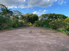 Fazenda / Sítio / Chácara com 2 Quartos à venda, 150m² no Petunia, Nova Resende - Foto 12
