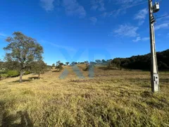 Fazenda / Sítio / Chácara com 3 Quartos à venda, 140m² no Zona Rural, São Sebastião do Oeste - Foto 7