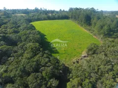 Fazenda / Sítio / Chácara com 3 Quartos à venda, 80m² no Branquinha, Viamão - Foto 9