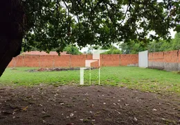 Fazenda / Sítio / Chácara com 3 Quartos à venda, 10000m² no Santana, Teresina - Foto 8