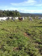 Fazenda / Sítio / Chácara com 3 Quartos à venda, 980000000m² no Zona Rural,  - Foto 17