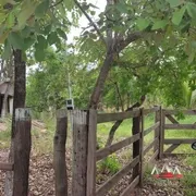 Fazenda / Sítio / Chácara com 1 Quarto à venda, 30000m² no Coxipó do Ouro, Cuiabá - Foto 7